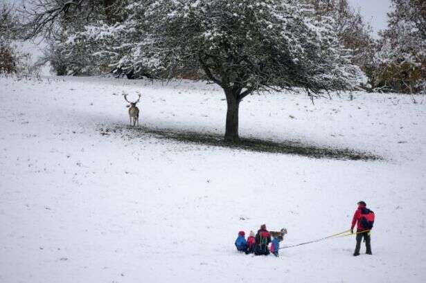 Workers who've worked from home on Tuesday due to UK snow may not get paid