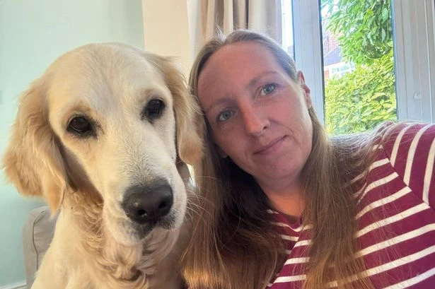 Midland dog who keeps having to be rescued due to friendly habit