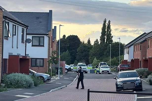 Moment man pulls pin on grenade he bought at antiques market while in Midland street