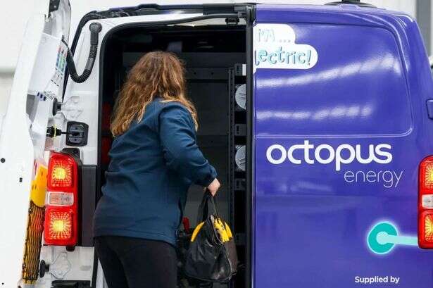 Octopus Energy handing out freebie which can bring energy bill down by £300