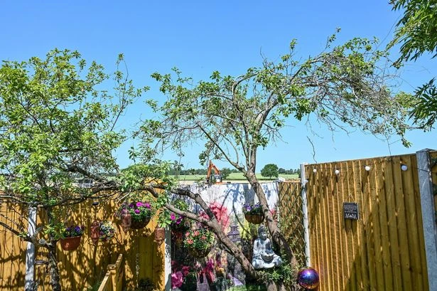 Midland village up in arms over bulldozing gardens - including one linked to Gardeners' World legend