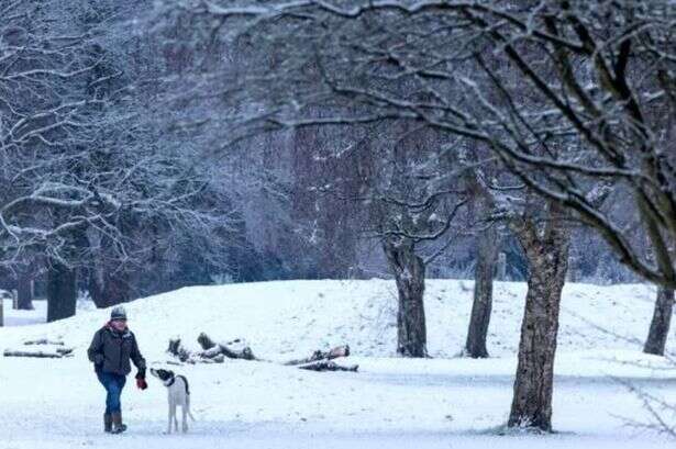 Met Office issues stark Polar Vortex warning which could hit UK 'within fortnight'