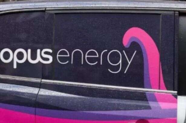 Octopus Energy announces first £0 energy bills for 'existing' homes