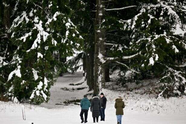 UK faces '81 hours of non stop' -8C snow and flurries will begin this week