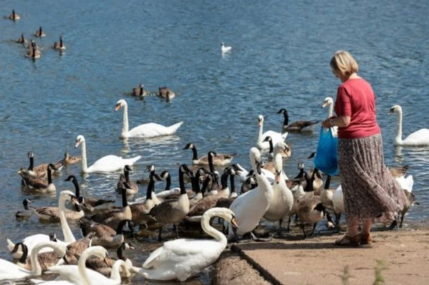 All the parts of UK facing 30C heatwave with 'hot spell about to kick off'