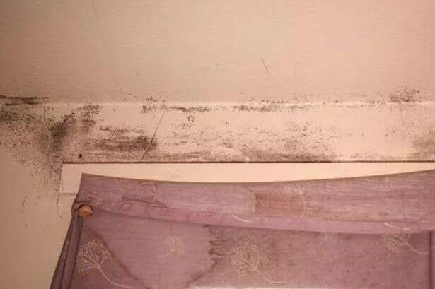 UK households warned popular energy saving measure putting home at risk of mould