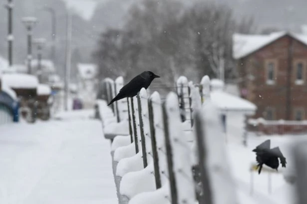 Weather maps show exact date 54-hour Artic snow blast to hit these UK areas