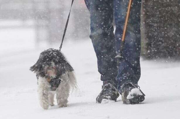 Met Office says UK weather shift to begin and 'won't be good for people’s mental health'