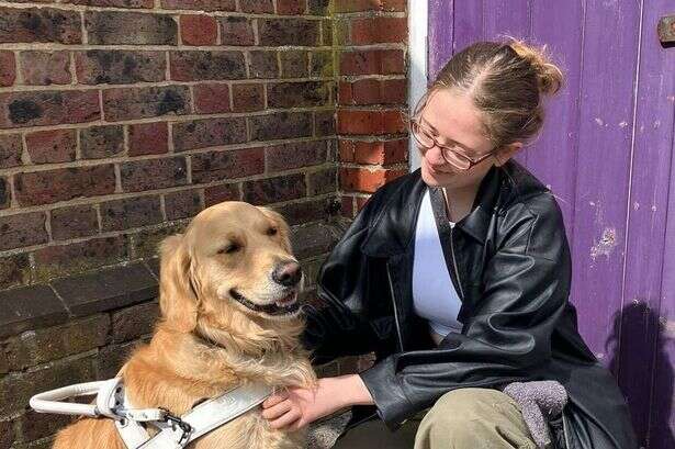 Disabled woman has medical episode after child attacked her assistance dog