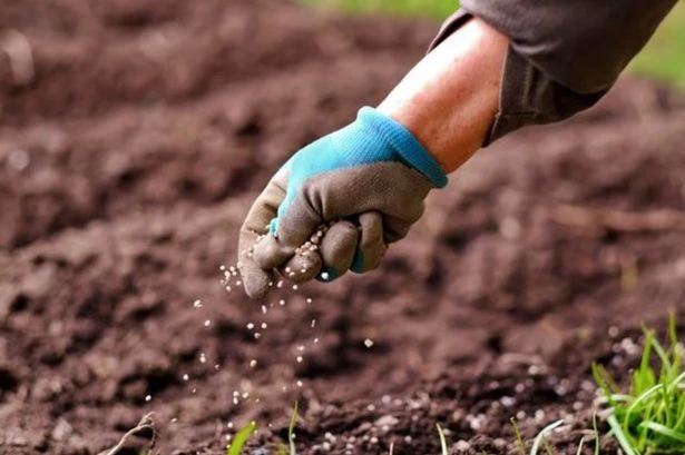 UK households with gardens given just six weeks to complete three tasks