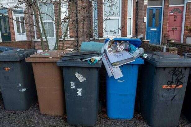 Nearly 1 in 10 households face monthly bin collection as councils look to save money