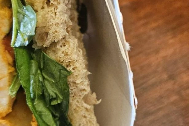 Horrified Tesco shopper finds live cockroach wriggling in his meal deal sandwich