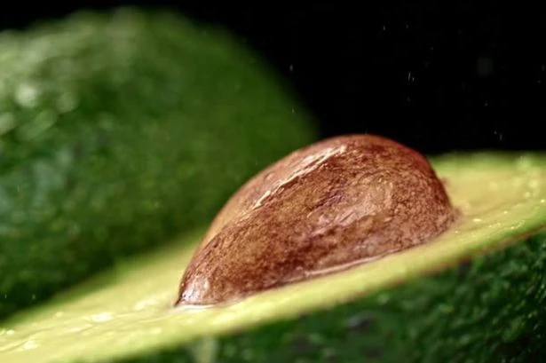 Warning for UK households buying avocados from Tesco, M&S, Waitrose, Sainsbury's