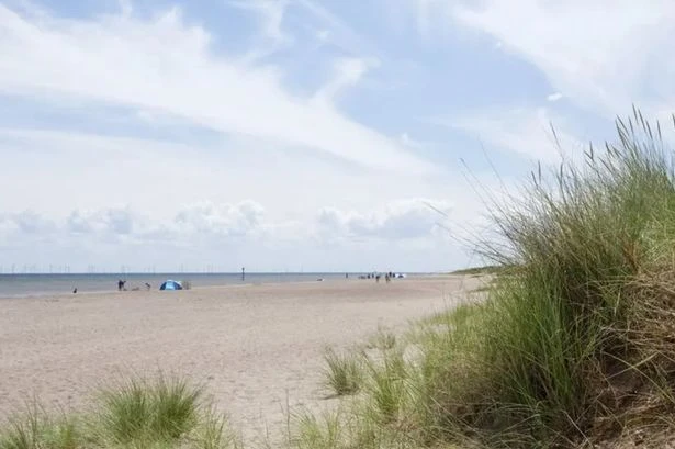 UK households visiting beaches in England warned they must not dig holes