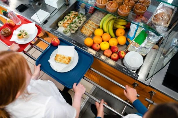 Households in England face school lunch shake-up from next week