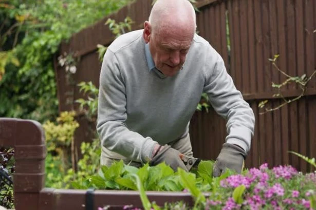 UK households rush to use same trick to avoid HMRC tax raid under Rachel Reeves