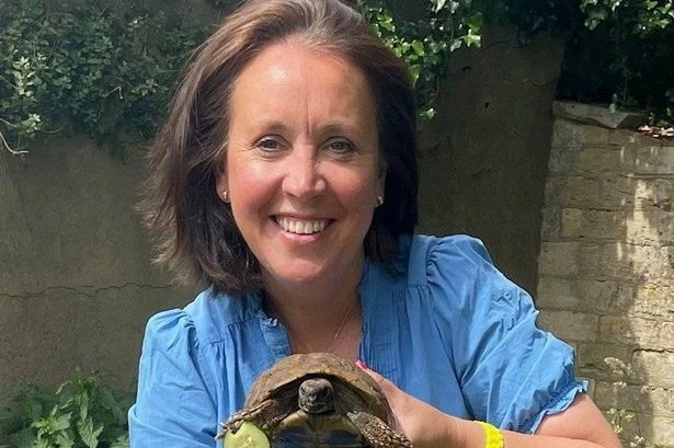 Midland tortoise turns up in another county after desperate search for a mate