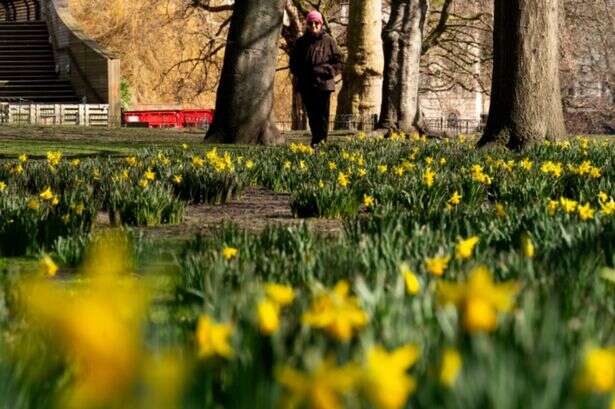 UK faces first mini-heatwave of year with exact date it starts announced