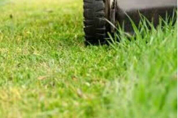 UK households told exact date they should mow lawn for first time this year