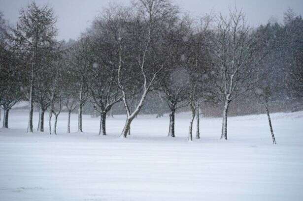 UK faces 5cm snow this weekend and 19 counties in England will take brunt