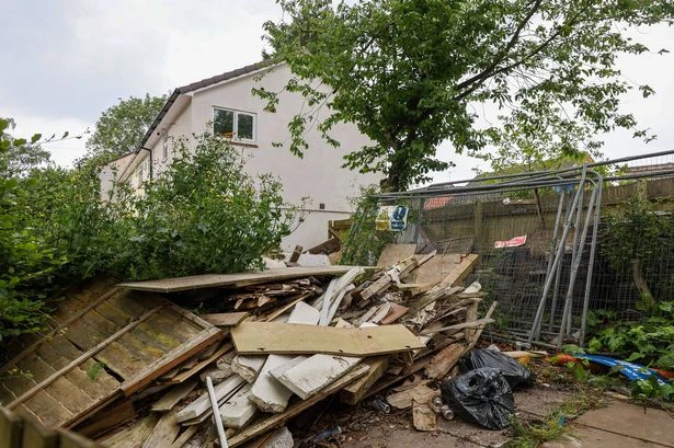 Birmingham house swallowed by trees cleared after 40 years as locals say 'eyesore'