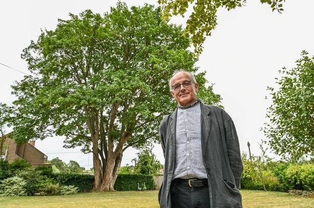 Midland village facing £70k bill to save 250-year-old tree