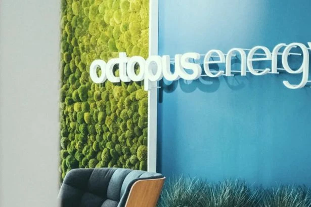 Octopus Energy issues 'very rare' announcement to 10 million customers
