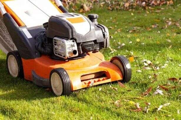 UK households urged to mow grass during 14-day period in March