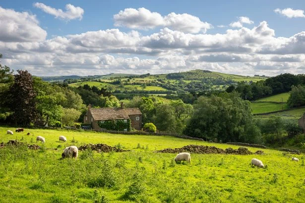 Met Office issues hot weather update as UK more likely to see scorching summer