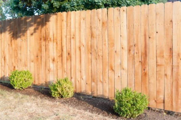 UK households with garden fences face £50,000 fine and prison time over 'harsh' rule