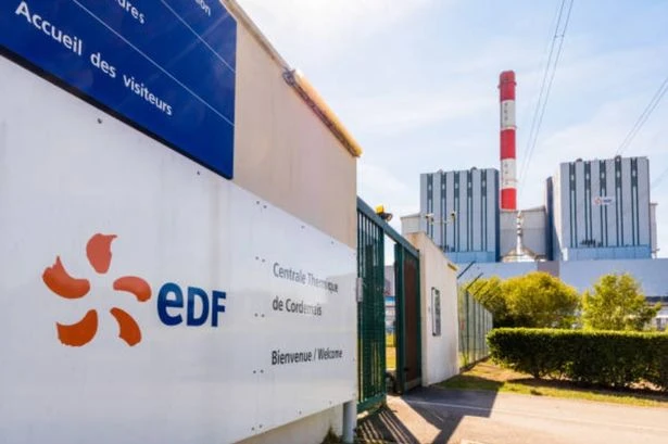 EDF, EON and OVO set to pay £1,000 direct into customer accounts