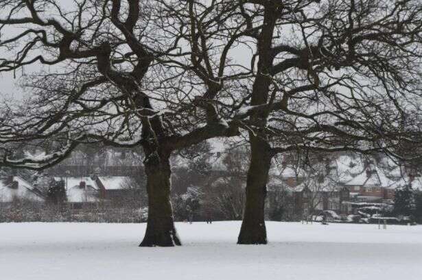 UK faces 320-mile snow bomb which will 'smother' England within days