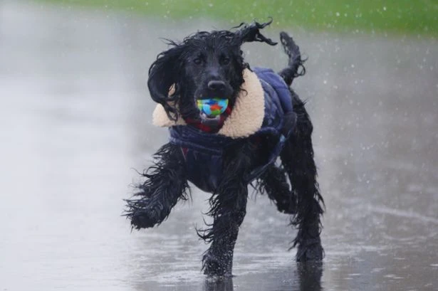 UK faces 'horror' storm lasting '36 hours' which will hit 'whole of England'