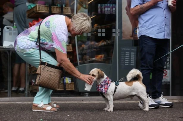25 counties in England set to sizzle in UK 31C heatwave within days