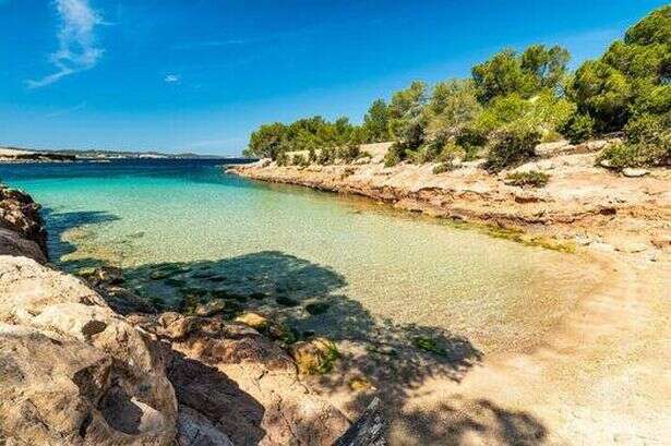 Stunning beach on Ibiza's doorstep offers complete escape from island's party capital