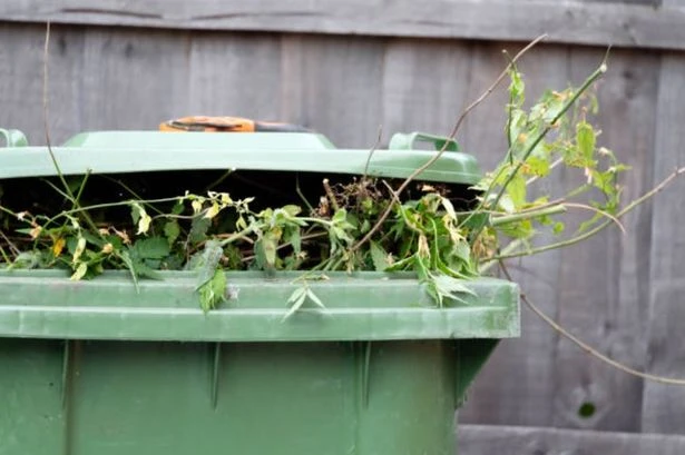 UK households face £400 fine for putting one item in garden bins ahead of new rules