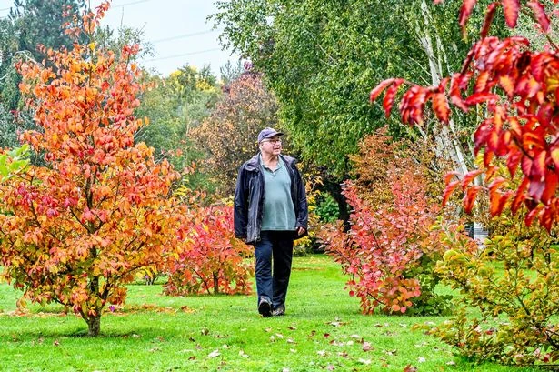Inside the West Midlands' best autumn garden with 20,000 plants