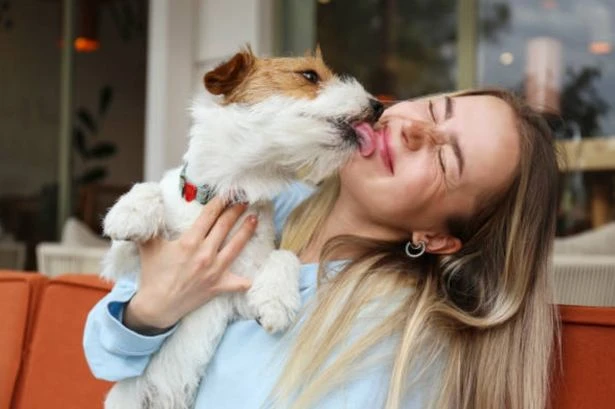 Warning to UK dog owners over mistake that could empty their bank account