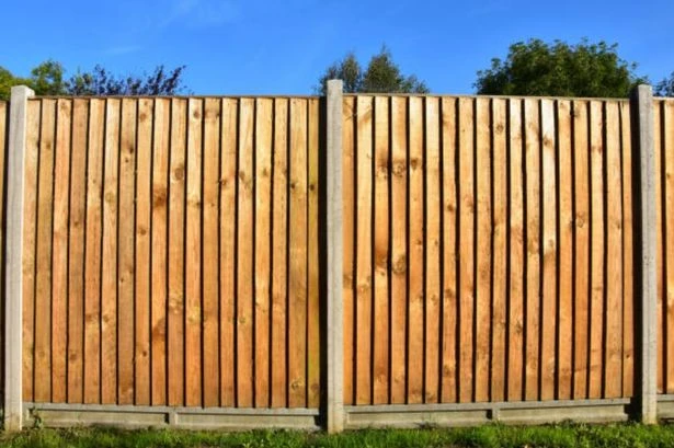 UK households with garden fences risk fine in September over 'neighbour rule'