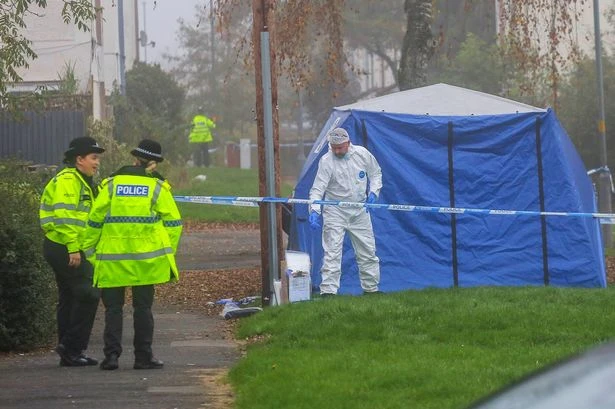 Exactly what judge said to Birmingham brother and sister who stabbed man to death