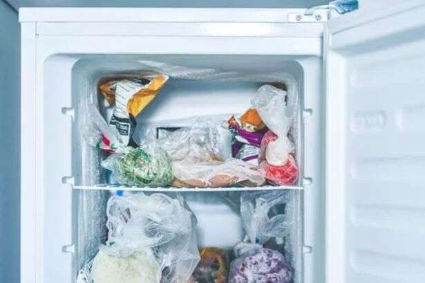 UK households urged not to keep fridges or freezers in their garage