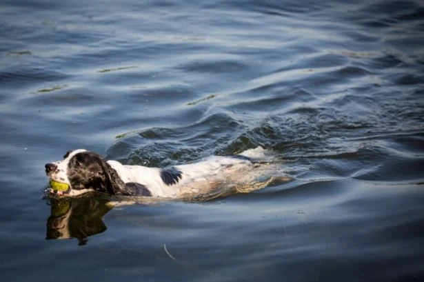 UK will roast in 30C heatwave with 'exact date' it'll kick off announced