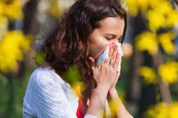 People with hayfever warned over what your symptoms 'really mean'