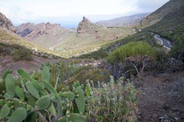 Jay Slater search finds 'signs of life' in Tenerife ravine where he vanished