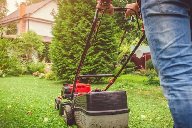 UK households warned they need to mow lawn within 'next two weeks'