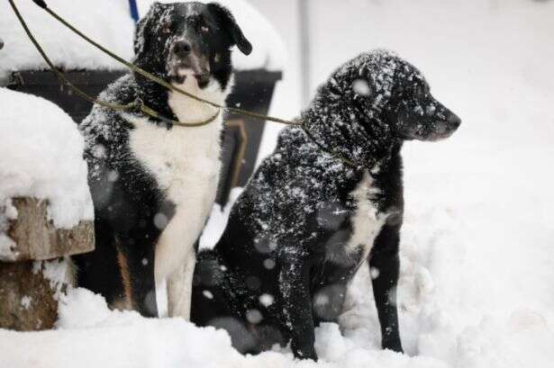 Met Office warns snow will hit UK this week with temperatures 6C below average