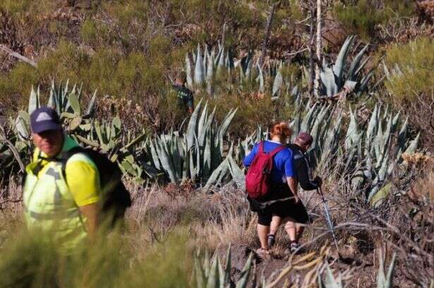 Jay Slater 'still alive' in Tenerife hills and family told it's 'certainly possible'