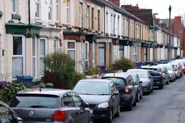 Dog owners being forced to live in cars due to 'ridiculous' landlord rule