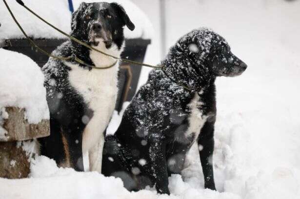 Met Office speaks out over UK being hit by 'notable' snow next week