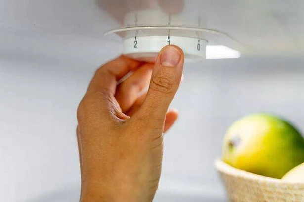 Experts share fridge temperature it should be to save you money on your energy bills